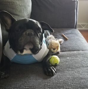 Meet your Posher, Kim